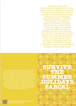 Survive the summer holidays parcel